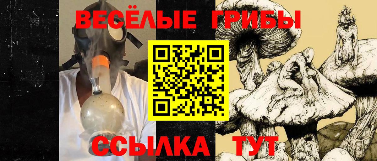 Железноводск  Галлюциногенные грибы прущие грибы  Псилоцибиновые грибы прущие грибы  Вход с VPN 